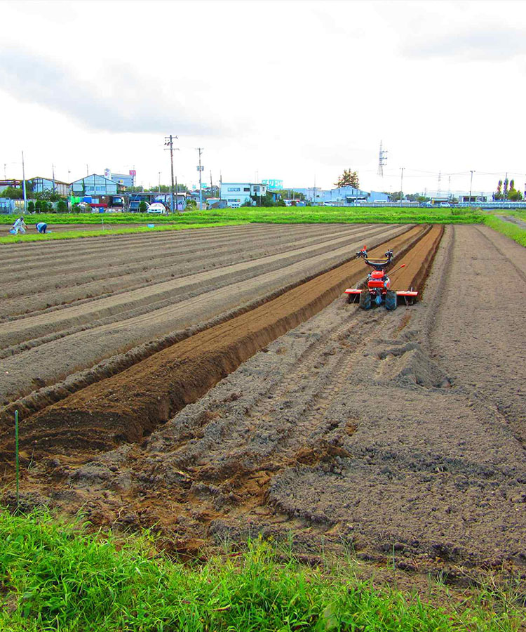 株式会社ハシカンライフ